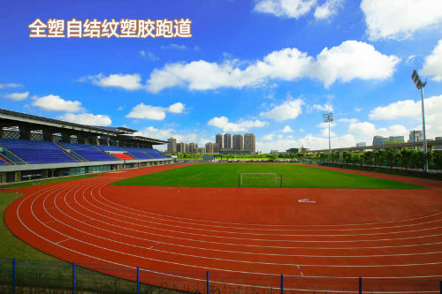 全塑型自结纹跑道
